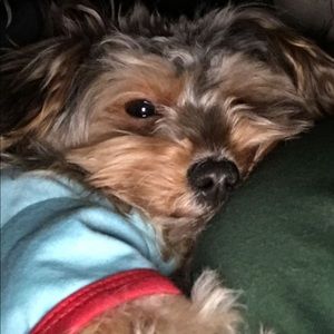 Meet your Posher, Ramona